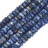 Natural Sodalite Beads Strands G-L654-I12-01-2