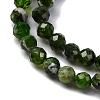 Natural Diopside Beads Strands G-G188-B14-02-4