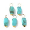 Opaque Acrylic Pendants PALLOY-JF04023-S-1