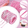 1 Roll Segment Dyed Raffia Paper Cords for DIY Craft OCOR-CJ0004-12-3