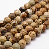 Natural Picture Jasper Beads Strands G-D840-47-10mm-1