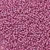 TOHO Round Seed Beads SEED-JPTR11-2106-2