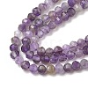 Natural Amethyst Beads Strands G-G189-A01-01-4