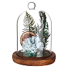 Arch Glass Dome Cover AJEW-WH0481-606D-1