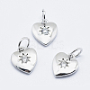 Brass Micro Pave Cubic Zirconia Charms LS-RB-I078-67P-NR-1