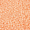 Opaque Baking Paint Glass Seed Beads SEED-T008-02D-3