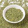 MIYUKI Round Rocailles Beads SEED-X0055-RR4515-1