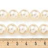 Glass Pearl Beads Strands HY-G002-01F-02-5