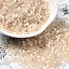 Glass Bugle Beads X-SEED-B001-03A-13-1