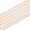 Baking Paint Pearlized Glass Pearl Bead Strands HY-N002-5mm-A11-3
