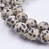 Natural Dalmatian Jasper Stone Bead Strands G-R193-14-10mm-3