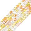 Gradient Color Electroplate Glass Bead Strands GLAA-E042-01C-1