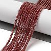 Natural Garnet Beads Strands G-B088-C11-02-2