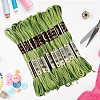 10 Skeins 6-Ply Polyester Embroidery Floss OCOR-CY0004-38K-3