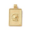 304 Stainless Steel Pendants X-STAS-L022-306G-04-1