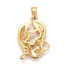 Ion Plating(IP) 304 Stainless Steel Pendants STAS-D165-14G-08-2