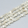 Natural White Moonstone Beads Strands X-G-S315-34-1