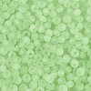 FGB Frosted Transparent Glass Seed Beads SEED-N013-04A-08-3