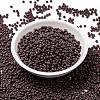 MIYUKI Round Rocailles Beads SEED-X0055-RR0497-2