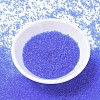 MIYUKI Delica Beads SEED-J020-DB1110-2
