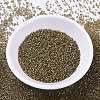MIYUKI Delica Beads SEED-MY11-DB0288-2