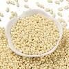 Glass Seed Beads SEED-L011-04A-09-2