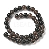 Natural Ice Obsidian Beads Strands G-P590-A03-10mm-02-5