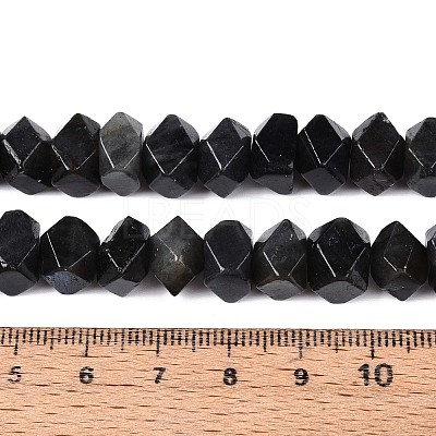 Natural Larvikite Beads Strands G-N327-05-28-1