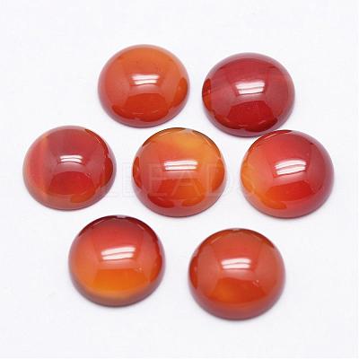 Natural Carnelian Cabochons G-P215-15-12mm-1