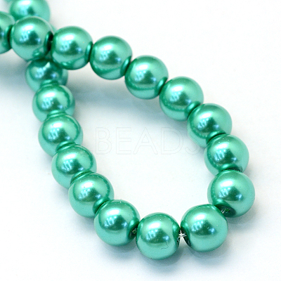 Baking Paint Pearlized Glass Pearl Round Bead Strands X-HY-Q003-6mm-29-1