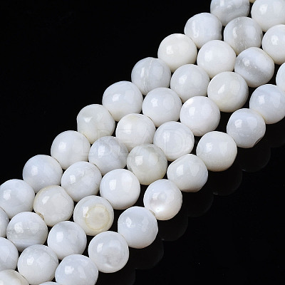 Natural Freshwater Shell Beads Strands X-BSHE-T009B-01A-1