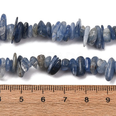 Natural Kyanite/Cyanite/Disthene Chip Beads Strands G-E271-78-1