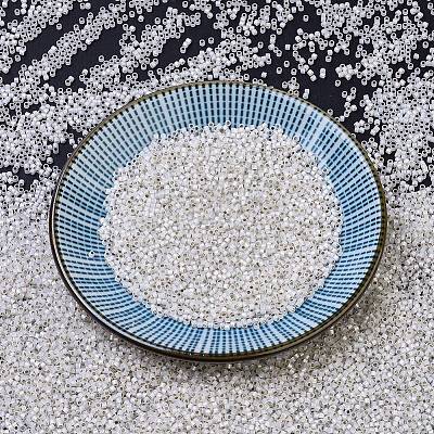 MIYUKI Delica Beads SEED-X0054-DB0221-1