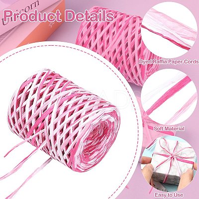 1 Roll Segment Dyed Raffia Paper Cords for DIY Craft OCOR-CJ0004-12-1