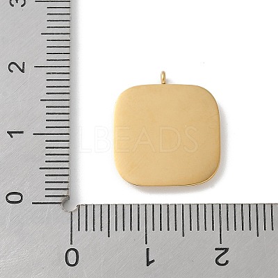 304 Stainless Steel Rhinestone Pendants STAS-Z122-55G-1
