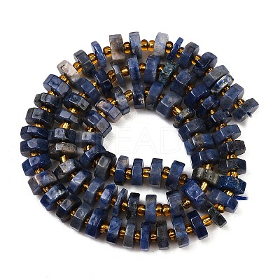 Natural Sodalite Beads Strands G-F796-A10-01-1