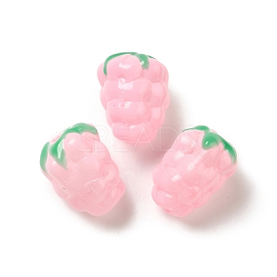 Handmade Lampwork Beads Strands LAMP-G162-05H-1