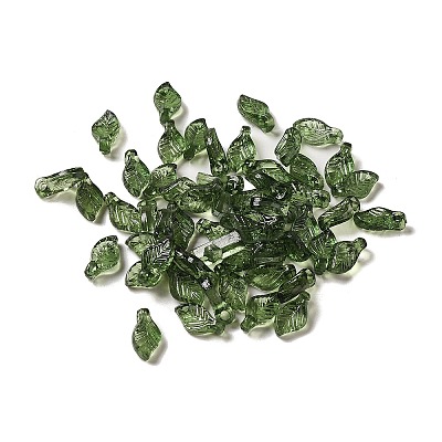 Transparent Acrylic Charms TACR-G041-01B-1