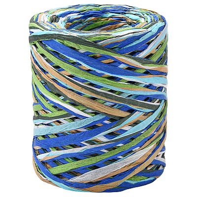 Segment Dyed Raffia Paper Cords for DIY Craft OCOR-WH20020-27B-1