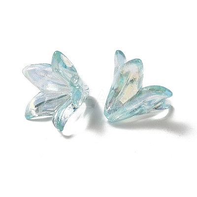 Transparent Acrylic Bead Caps OACR-H016-05E-1