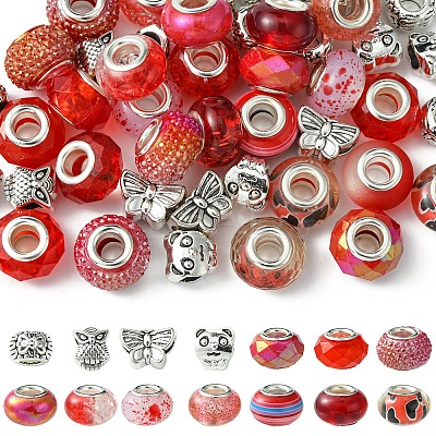 DIY Tibetan Style Alloy & Resin European Beads Making Finding Kits DIY-FS0006-78E-1