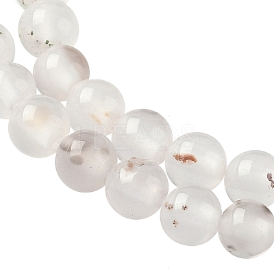 Natural Dendritic Agate Beads Strands G-C011-4mm-01-1