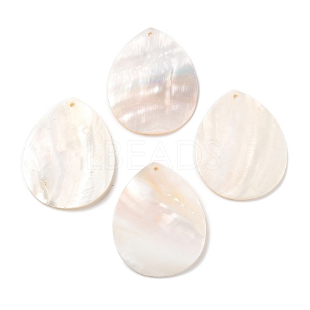 Natural Freshwater Shell Pendants SHEL-D082-01D-1