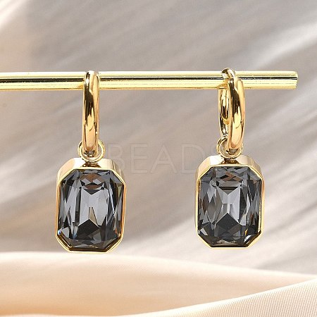 Ion Plating(IP) 304 Stainless Steel Hoop Earring Hand Polished EJEW-C017-06G-02-1
