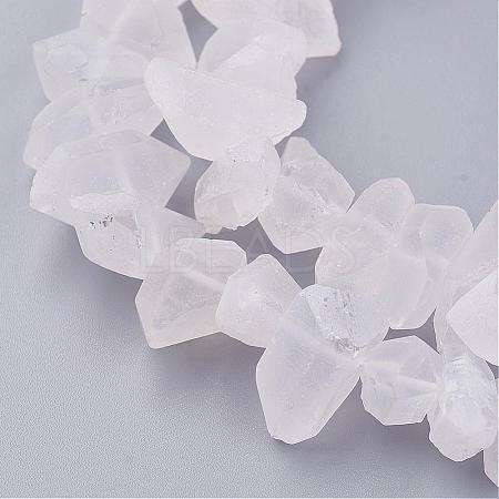 Natural Quartz Crystal Beads Strands G-F336-02-1