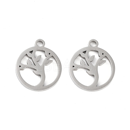 316 Surgical Stainless Steel Charms STAS-C096-11F-P-1
