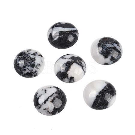 Natural Zebra Jasper Cabochons G-T020-18mm-29-1