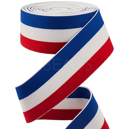4.7 Yards Flat Nylon Striped Elastic Band OCOR-GF0003-84C-1