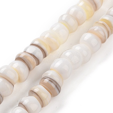 Natural Cultured Freshwater Shell Beads Strands SHEL-F002-01D-1