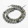 Natural Labradorite Beads Strands G-P322-29-8mm-2